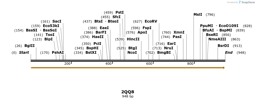 96068_map
