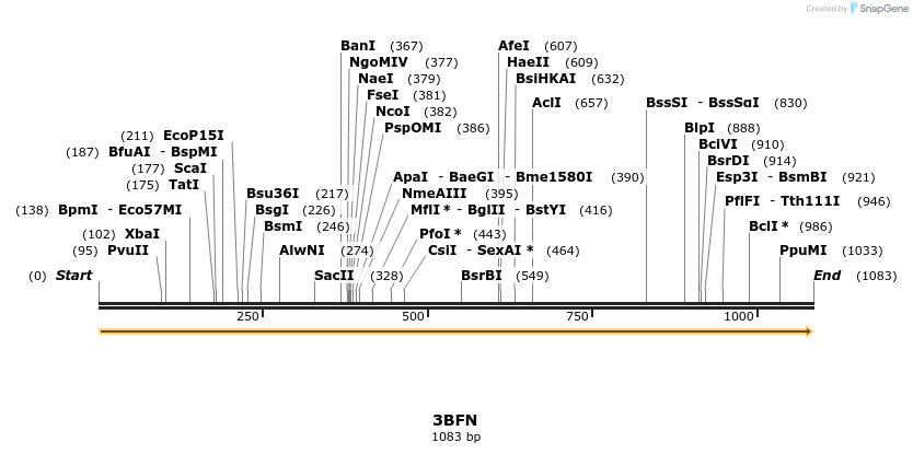 96069_map