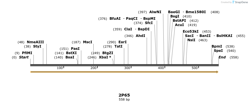 96071_map