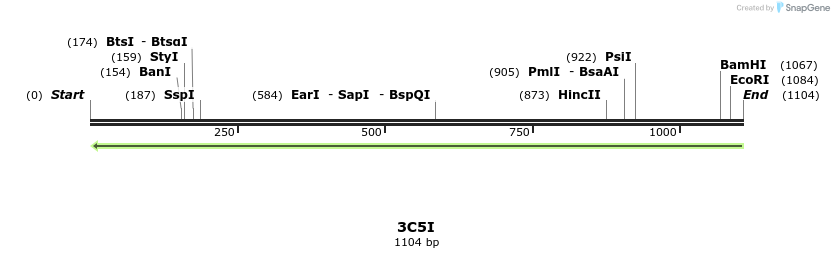 96073_map