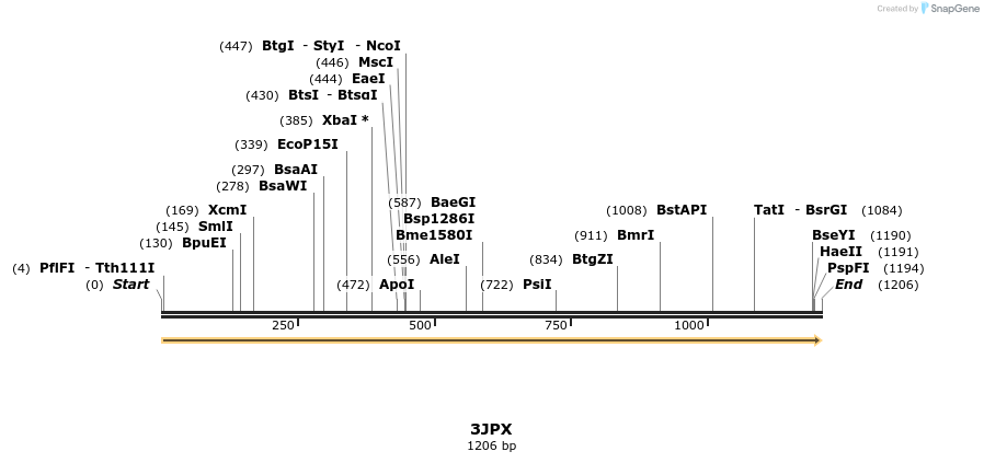 96076_map