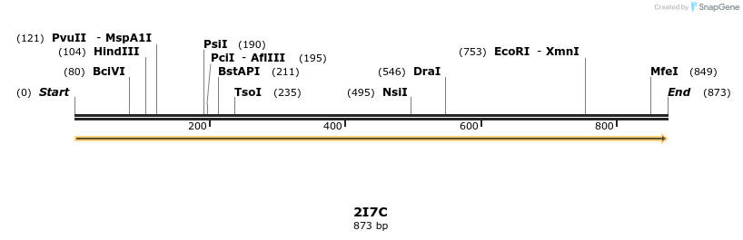 96078_map