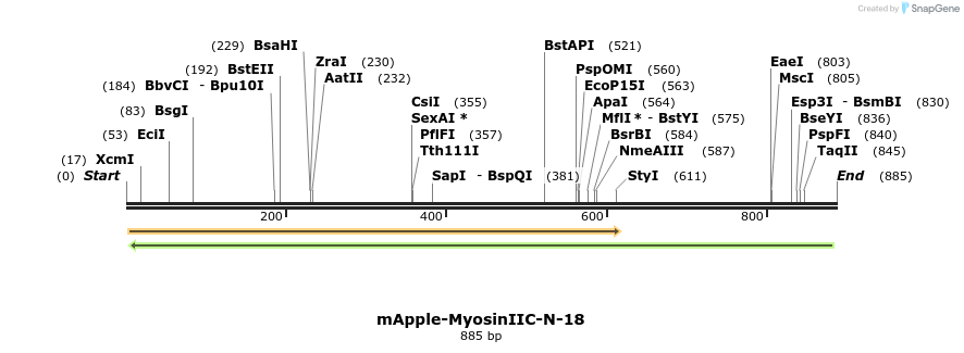 96081_map