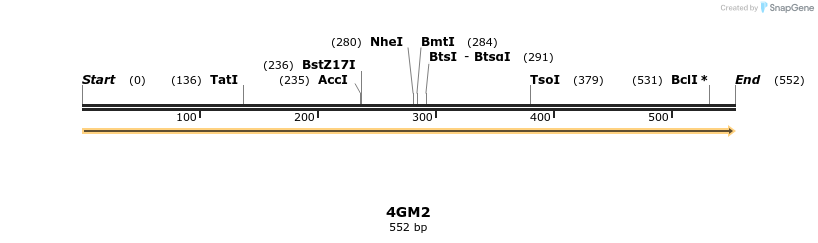 96082_map