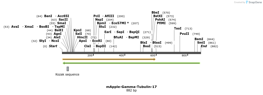 96084_map