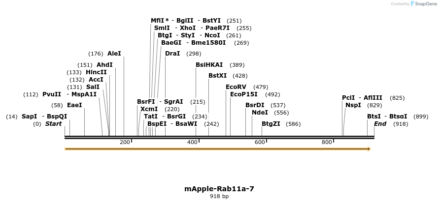96085_map
