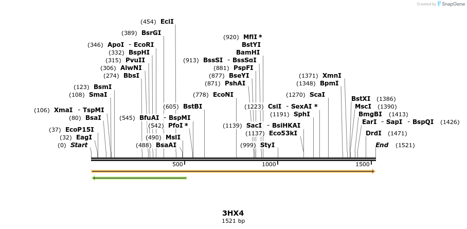 96086_map