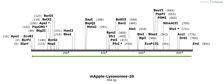 96087_map