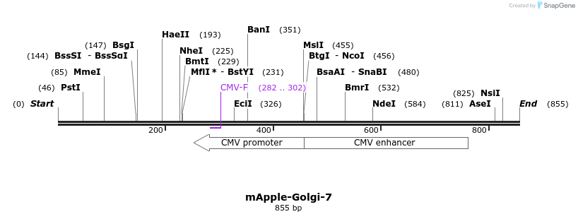 96088_map
