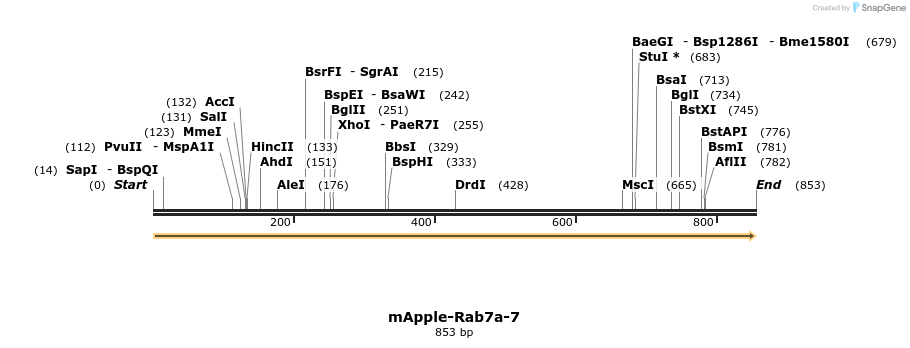 96090_map