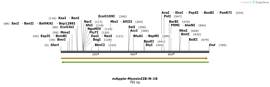 96091_map