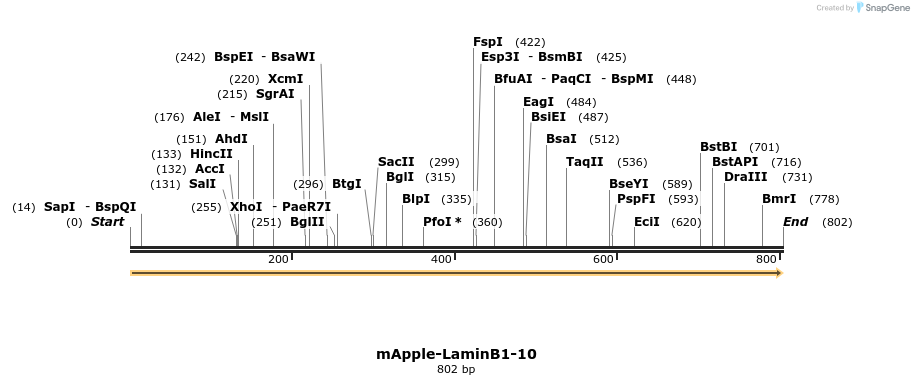 96092_map