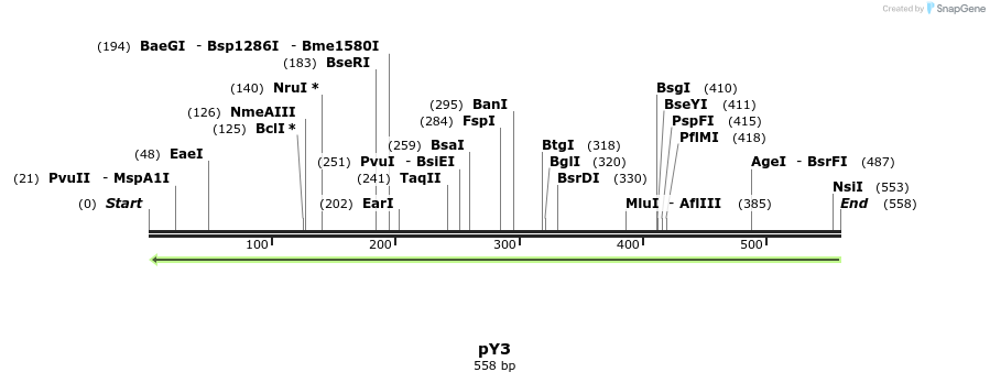 96095_map