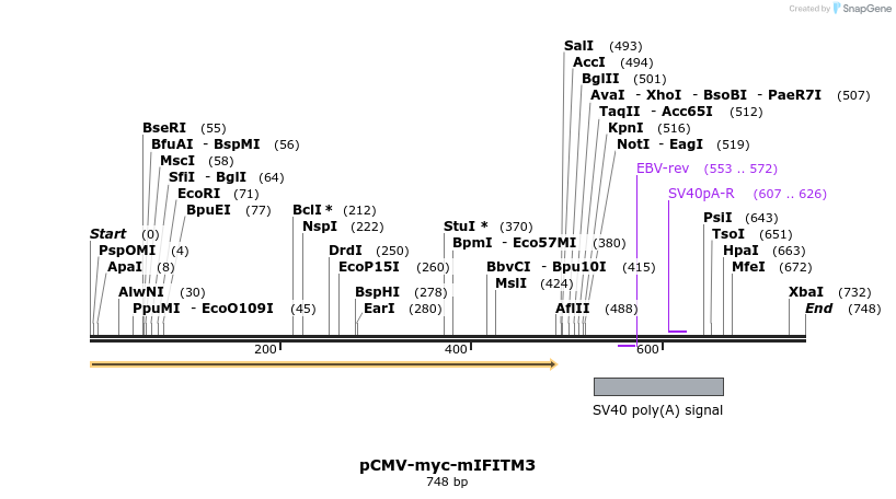 96096_map