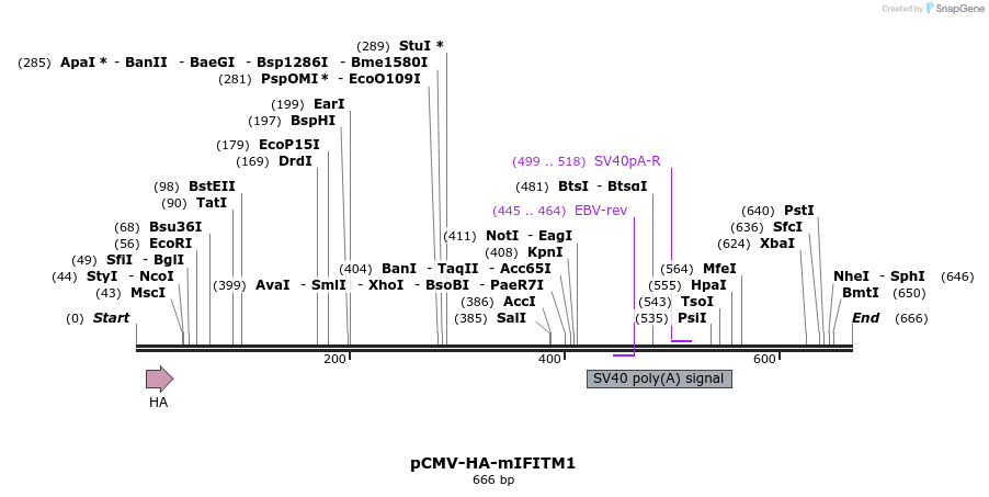 96099_map