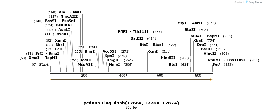 96100_map