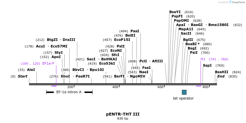 96101_map