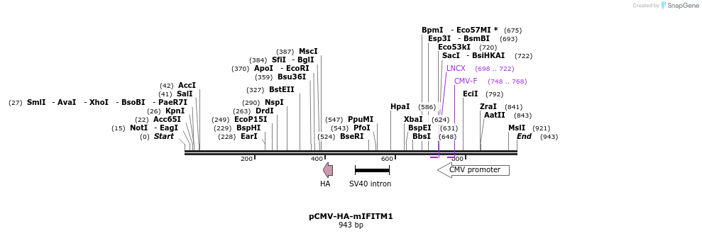 96105_map