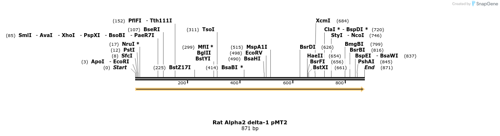 96109_map