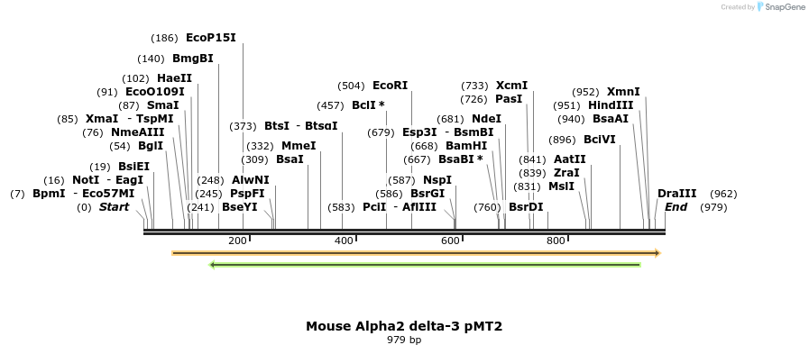 96110_map