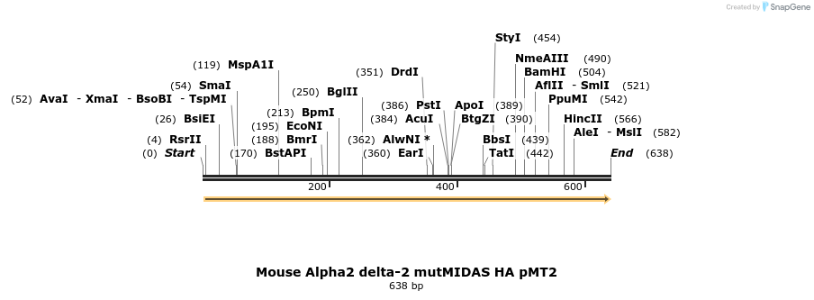 96114_map
