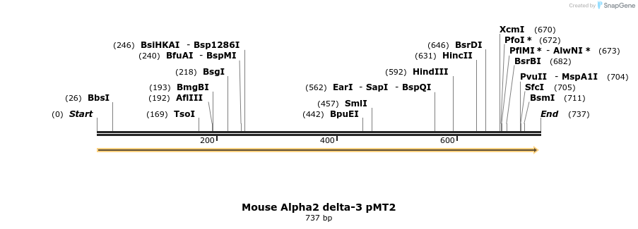 96117_map