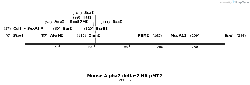 96119_map