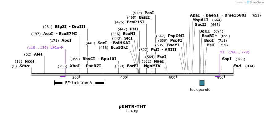 96120_map
