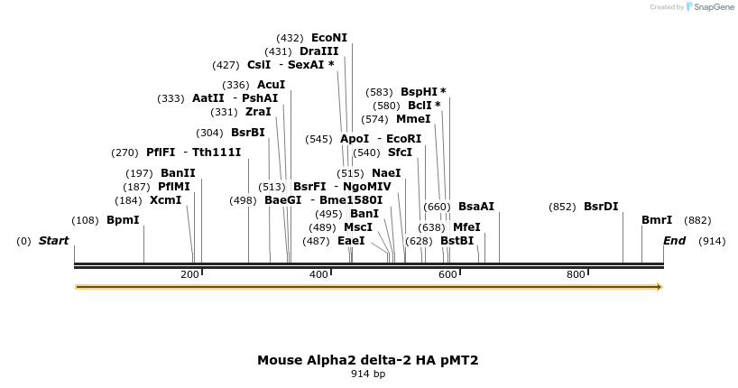 96122_map