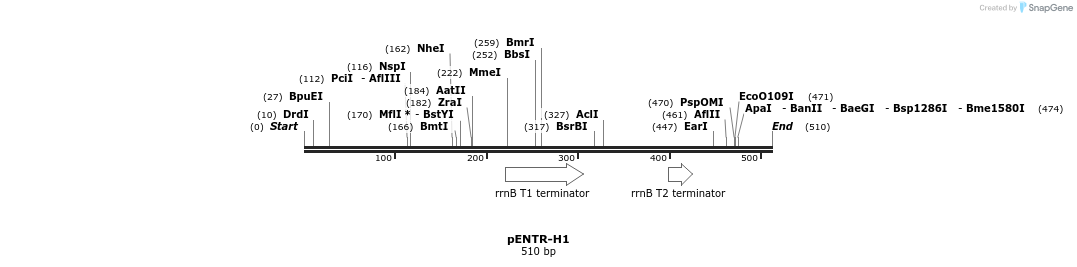 96123_map