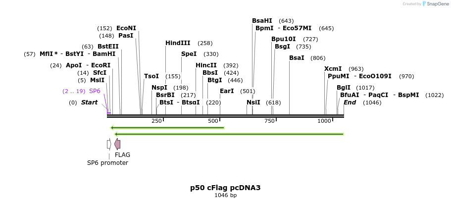 96124_map