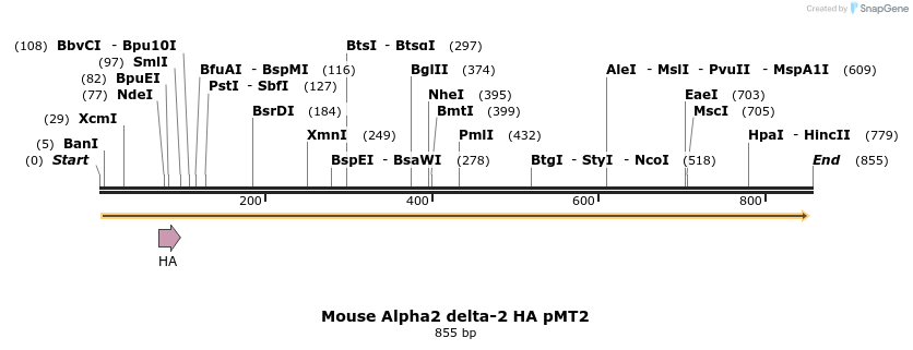 96126_map