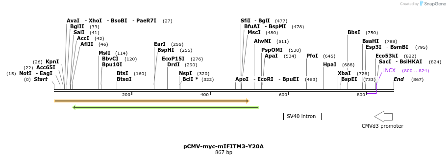 96128_map