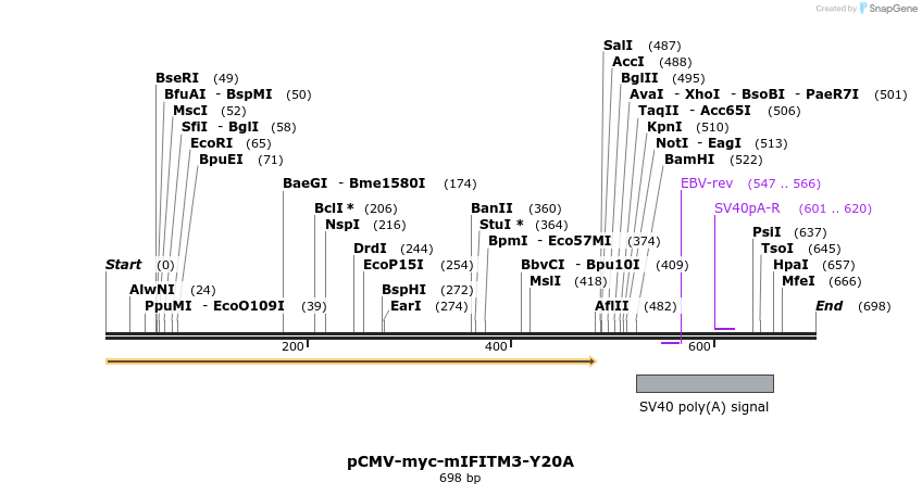96133_map