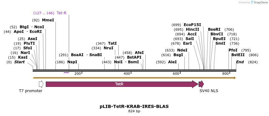 96138_map