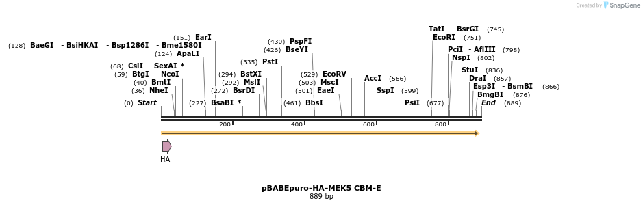 96139_map