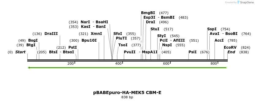 96141_map