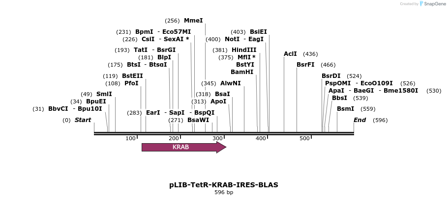 96144_map