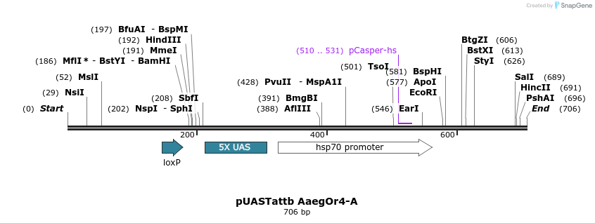 96147_map