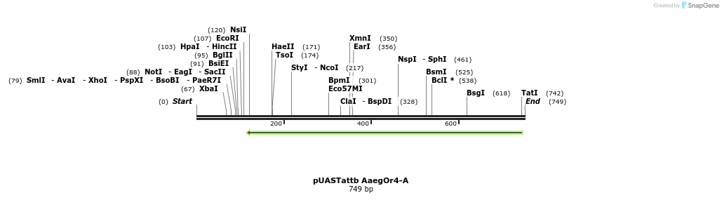 96149_map