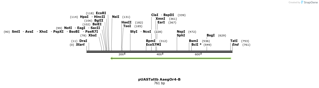 96151_map