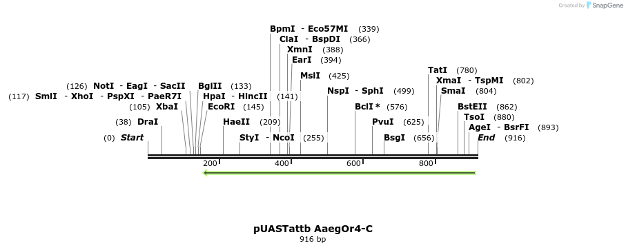 96156_map