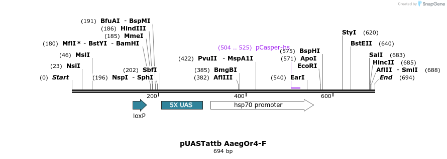 96161_map