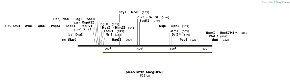 96162_map