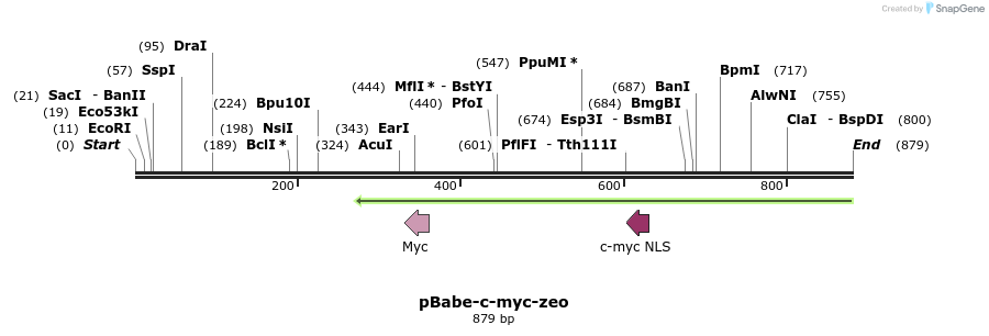 96164_map