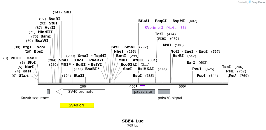 96165_map