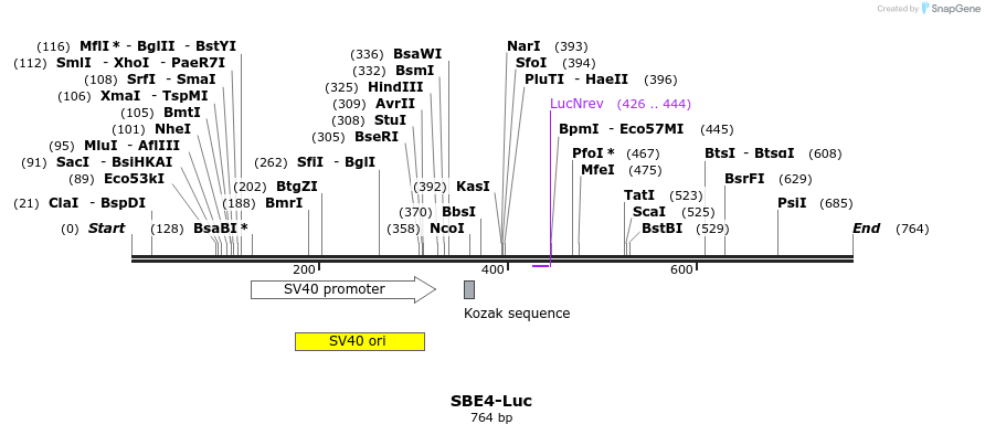 96166_map