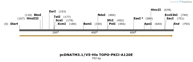 96173_map