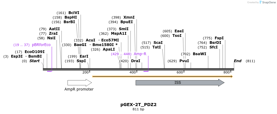 96183_map
