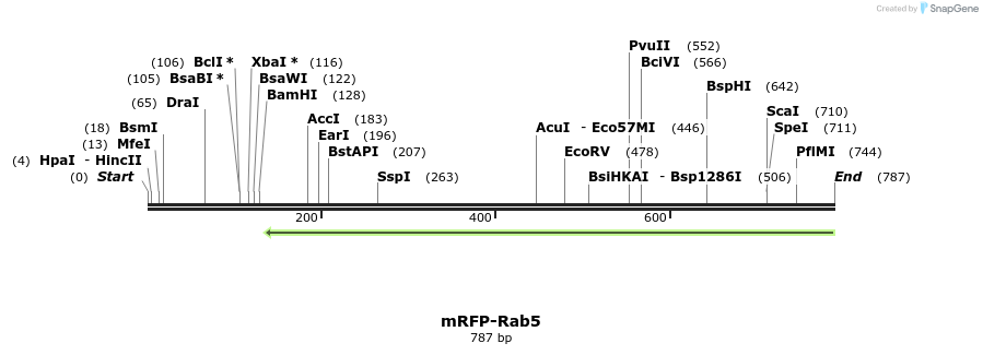 96184_map